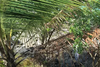 Image de Lovely 1 Chambre Appartement front de mer