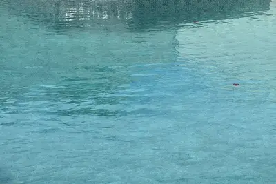 Image de À quelques pas de l'Indio Polo Club