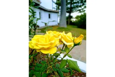 Image de Villa Anna - La Matanza de Acentejo