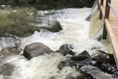 Image de Arcadia Cottage Seven au bord de l'eau