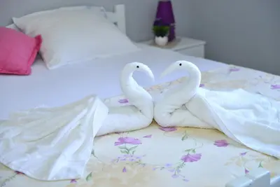 Image de Maison de vacances StOliva située à 5 mètres de la mer