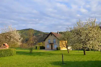 Image de A 10' de la montagne des singes -volerie des aigles-château du Haut-Koenigsbourg