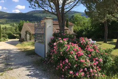Image de maison en pierres avec piscine au milieu des lavandes, des abricotiers. . .