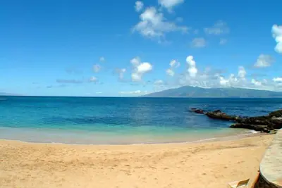 Image de Paradise Found