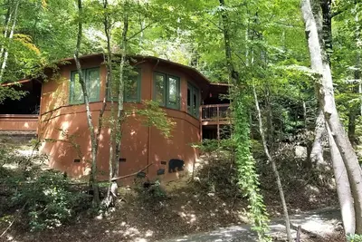 Image de Dusty's TreeHouse Unique & Cozy One Level open plan -Great Location-Wifi-Dogs Ok