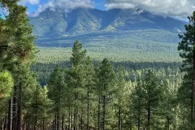 Image de Hidden Hollow Log Cabin + Cabane dans les arbres pour enfants (Snowbowl N / B et centre-ville)