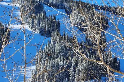 Image de Marchez vers les pentes de ce condo du East Village (Nouveau canapé-lit)