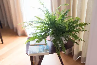 Image de Apartamentos Santa Maria