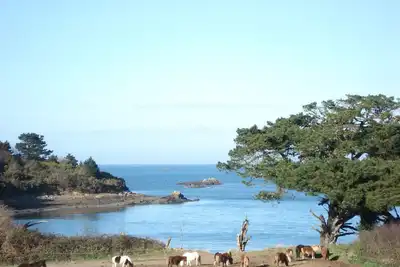 Image de lezardrieux appart. 4/5 pers. bord de mer+jardinet