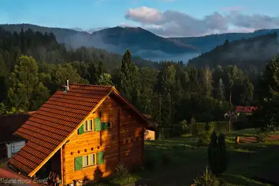 Image de Maison en bois très calme avec sauna en bois rond dans un environnement charmant