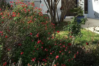 Image de maison idéale vacances avec jardin, proche du centre ville