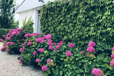 Image de Maison familiale, avec jardin Ă Cabourg.