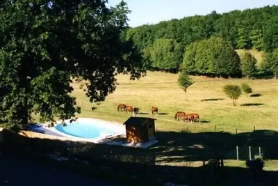 Image de Gîte viticole Château Tourmentine 14 pers/piscine/idéal groupes et amis/campagne