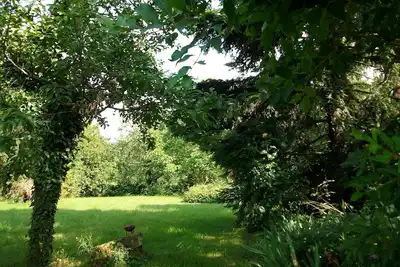 Image de Gite classé La Trémelière face aux vignes et à la plaine au pied de la montagn