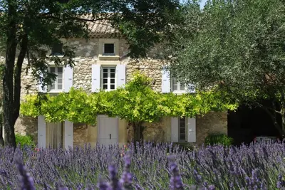 Image de L'Estivalière, Mas provençal entre vignes et lavandes