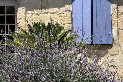 Image de Le Mazet Bleu en ville avec terrasse et parking privatif