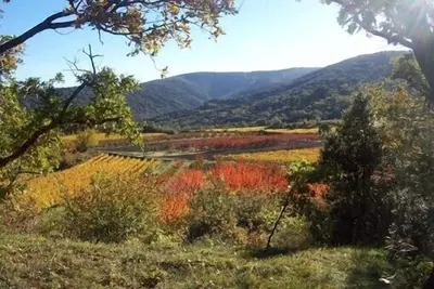 Image de A Méthamis, gîte dans partie rénovée mas provençal habité, sud ventoux, nature