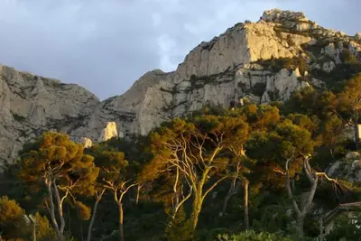 Image de Jolie location 1 à 5 pers Marseille quartier calme entre plages et Calanques