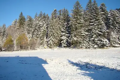 Image de Gîte avec terrasse dans ferme non exploitee a Gerardmer