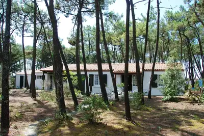 Image de Villa Sous Les Pins 100 M De La Plage 12/15 Personnes