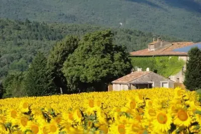 Image de Gîte à la campagne au coeur du Luberon