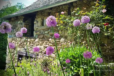 Image de La Maisonnette : Gîtes de charme en Aveyron, au coeur de la vallée du Lot.