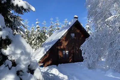 Image de Chalet 70 m2 - 6 Pers - proche Mont Dore/Super Besse - 1000 m2 clos - Wi-Fi