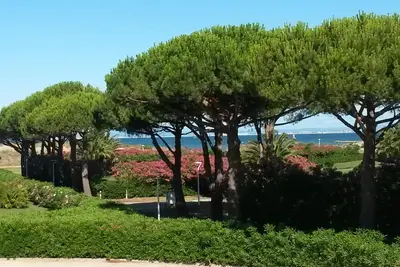 Image de Bel appartement avec grande terrasse vue mer - Accés direct plage