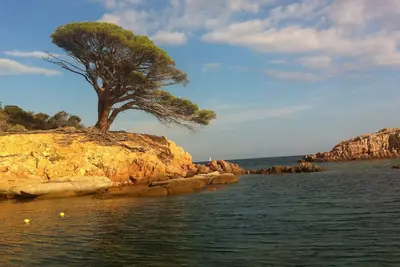 Image de Villa Isula, Porto Vecchio, piscine chauffée, près des plus beaux sites de Corse