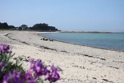 Image de Villa vue mer, spa (bain tourbillonnant), accès plage au bout du jardin!