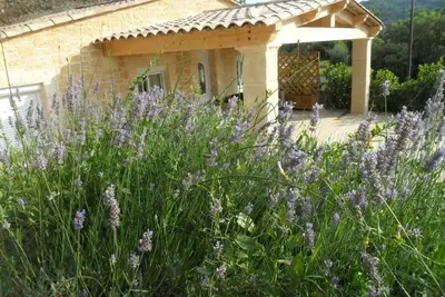 Idyllique Mas Provencal Tout Confort Avec Piscine Et Terrasse Privative