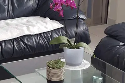 Image de Calme, détente, repos, retrouvez vous en famille à Pornichet (Loire-Atlantique)