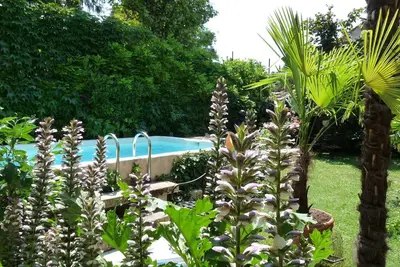 Image de Ecrin de verdure et de fraicheur à Vaison la Romaine