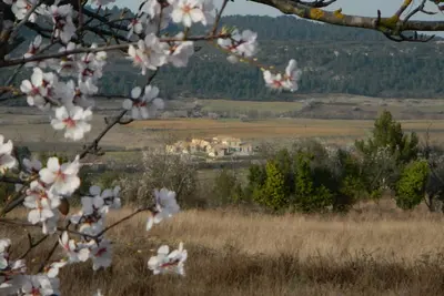 Image de Grand gîte dans véritable havre de paix! Réduction Juil/Août pour + de 14 pers!