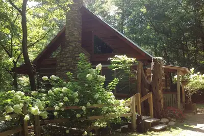 Image de Cabine sur la rivière Toccoa White Water!