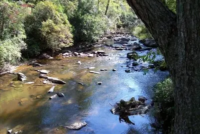 Image de Brasstown Creek House - 3 Mi. de John C. Campbell Folk école
