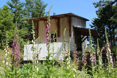 Image de Cabane d'architecte dans les bois, île Pender
