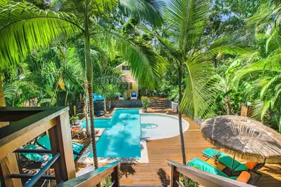 Image de Spectaculaire Jungle Canopy Tree House Avec Cascade Piscine Et Gymnase!