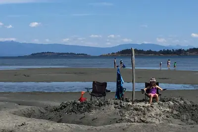 Image de Tanglewood 19 - Niveau océan