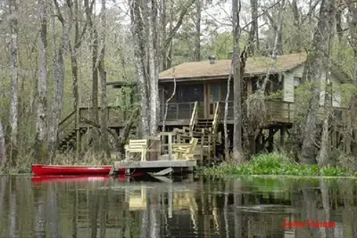Image de Détendez-vous sur une belle rivière dans un cadre naturel de la Floride