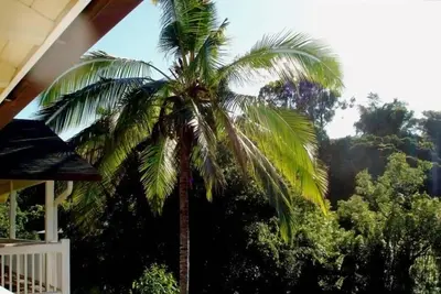 Image de Bamboo Valley Inn 2br / 1ba Autorisé