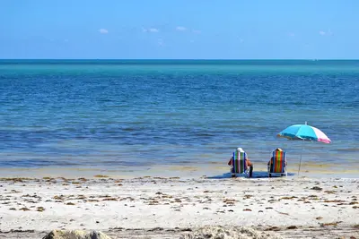 Image de Plage, piscine chauffée et vue sur l'océan