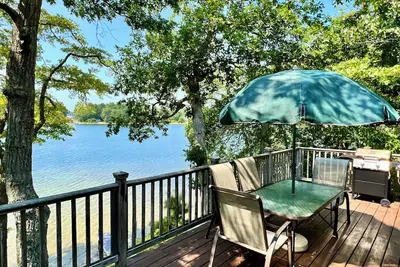 Image de Bord de l'eau sur un étang de baignade immaculé!