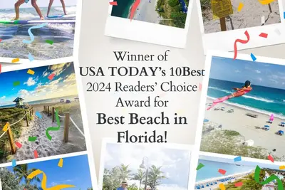 Image de Spécial 1 ou 2/3 mois - PRIVÉ-Luxueux, Pet-3 blks-Walk to Beach / Atlantic Av