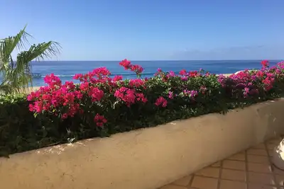 Image de Vue sur l'océan à Terrasol Resort, Cabo San Lucas, Mexique