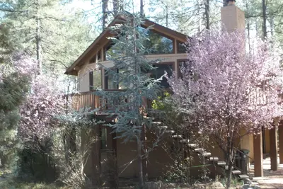 Image de Évadez-vous dans les pins frais