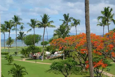 Image de Tropical mis à niveau Ov 1br, 2ba Condo (B-307) - Tarifs 129 $ - 169 $ - Magnifique coucher de soleil