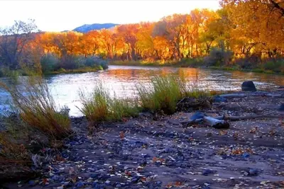 Sur la rivière Rio Grande! ! Rinconada Rio Grande Retraite