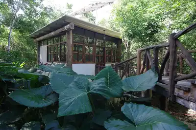 Image de Casita Milagros - A Jungle Tree House