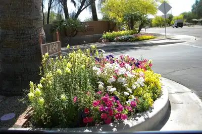 Image de <br>Fabuleux condo 1 ch ar La Solana à Sun City Grand